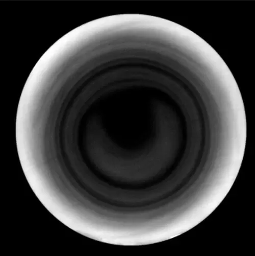 Black Core Black Ring Slicing