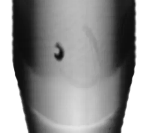 大头月牙痕检测