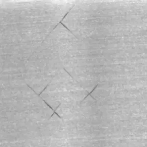 Bright Field Crack 1