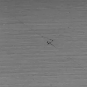 Bright Field Crack 2