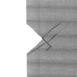 Bright Field Notch + Crack