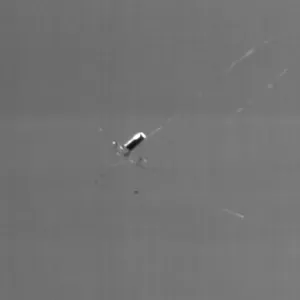 Dark Field Perforation